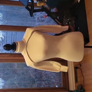 Turtle neck Sweater top